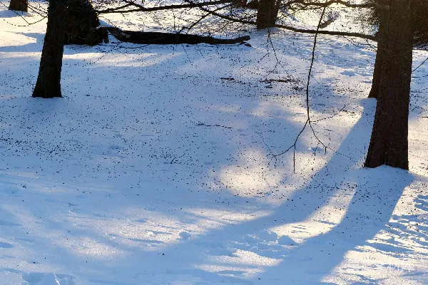 高清摄影 冬日阳光下的雪地