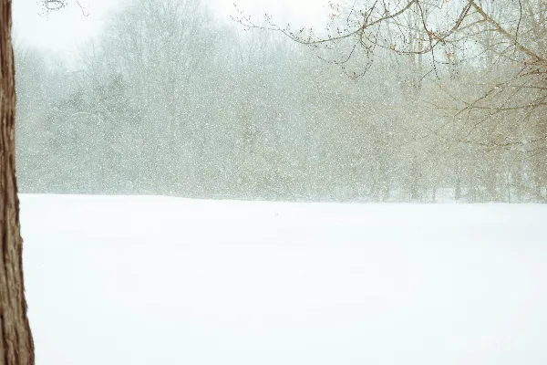 高清摄影 冬日雪景