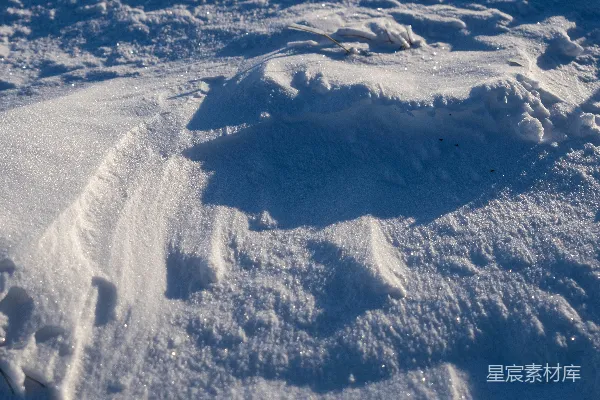 高清摄影 雪地里的足迹