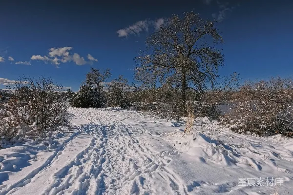 高清摄影 冬日雪景中的小径