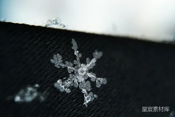 高清摄影 雪花之美