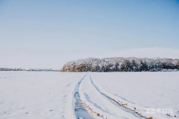 高清摄影 雪地中的脚印