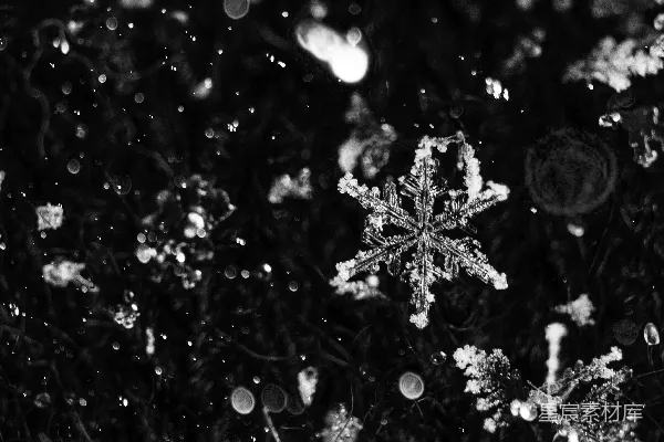 高清摄影 冬日雪花：自然之美