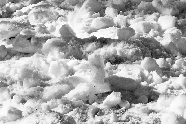 高清摄影 雪地中的脚印