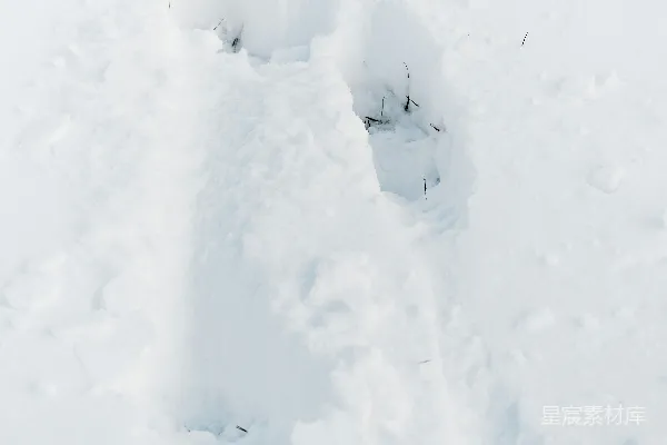 高清摄影 雪地中的动物足迹