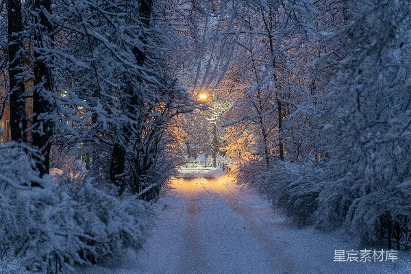 高清摄影 冬夜雪景中的路灯