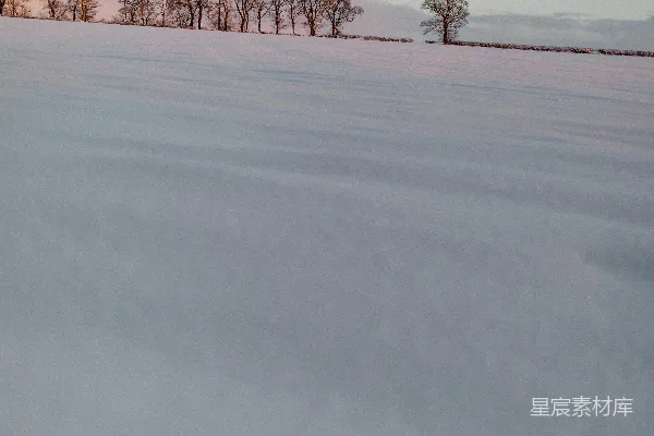高清摄影 冬日雪景中的孤树