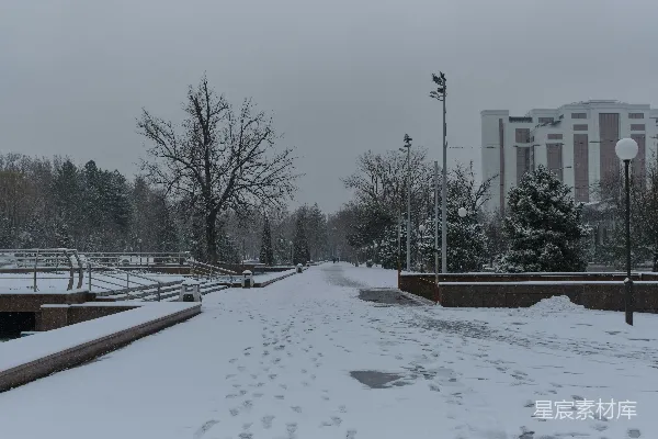 高清摄影 冬日雪景中的城市公园