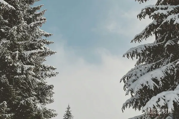 高清摄影 冬日雪景