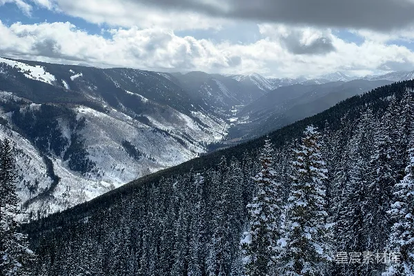高清摄影 雪山下的松林