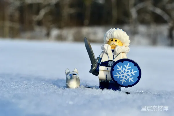 高清摄影 雪地中的守护者