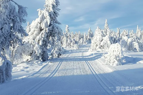 高清摄影 雪地中的森林小径