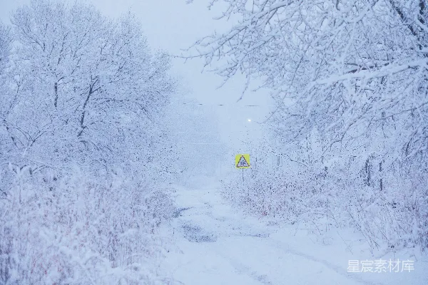 高清摄影 雪后的宁静小径