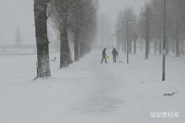 高清摄影 雪中的公园散步