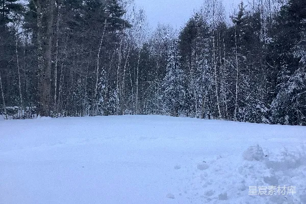 高清摄影 冬日雪景