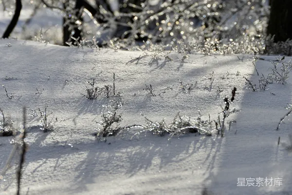 高清摄影 冬日银装素裹的雪地