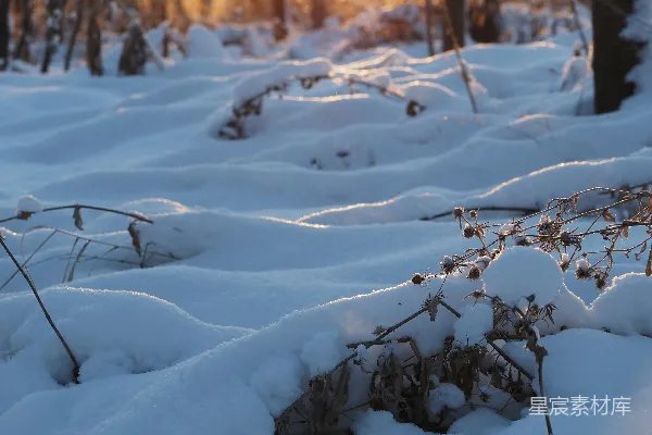 高清摄影 冬日黄昏的雪地