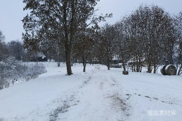 高清摄影 冬日雪景中的乡村小径