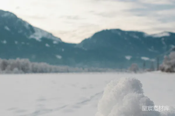 高清摄影 冬日雪景中的小雪人
