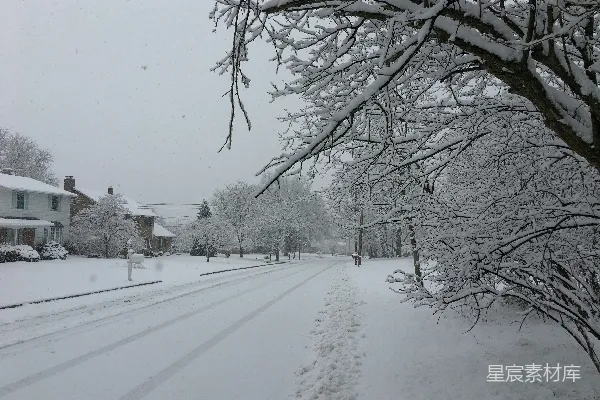 高清摄影 冬日雪景下的宁静街道