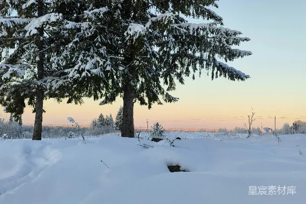 高清摄影 冬日清晨的雪景