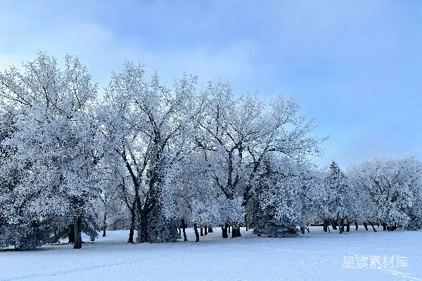 高清摄影 冬日雪景