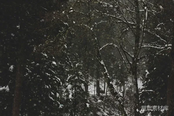 高清摄影 雪中静谧的森林长椅