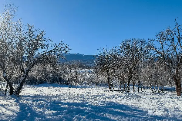 高清摄影 冬日雪景