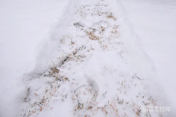 高清摄影 雪地中的足迹