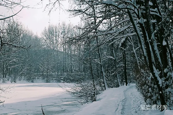 高清摄影 冬日静谧雪景