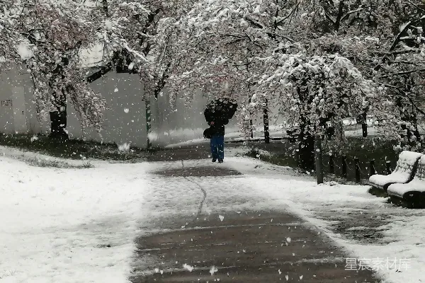 高清摄影 雪中漫步