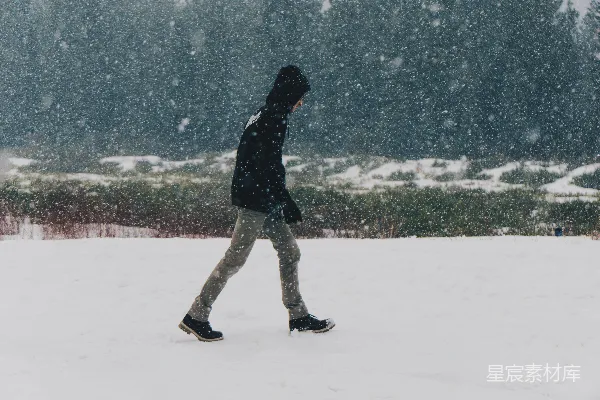 高清摄影 雪中漫步