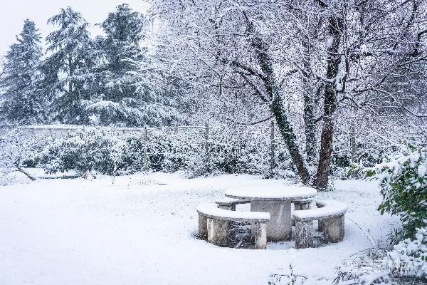 高清摄影 冬日雪景中的宁静花园
