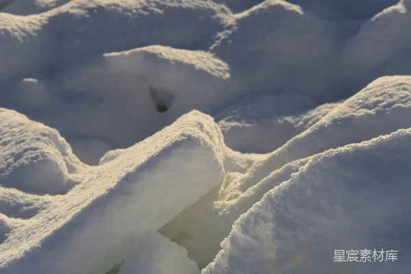 高清摄影 雪地中的冰块