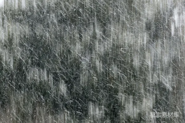 高清摄影 冬日飘雪