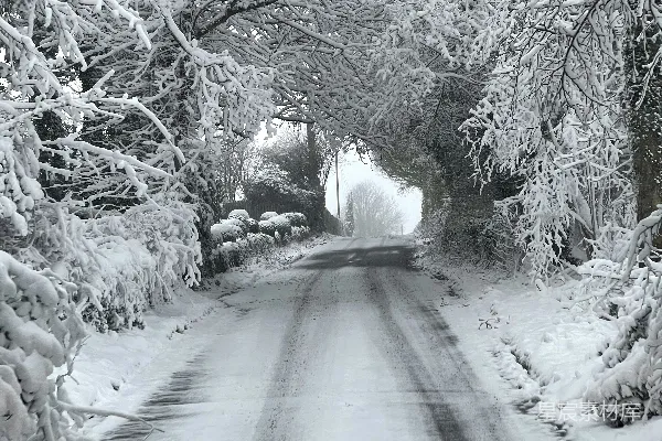 高清摄影 雪中林间小道
