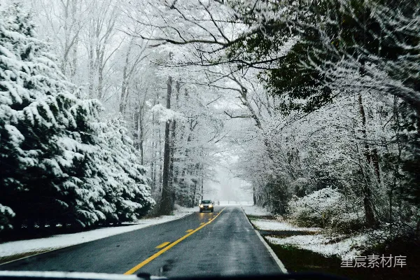 高清摄影 雪中的森林道路