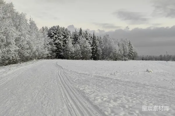 高清摄影 冬日雪景：森林与道路