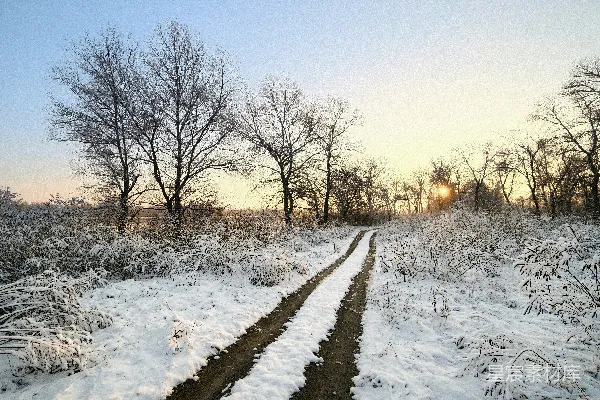高清摄影 冬日雪景中的小径