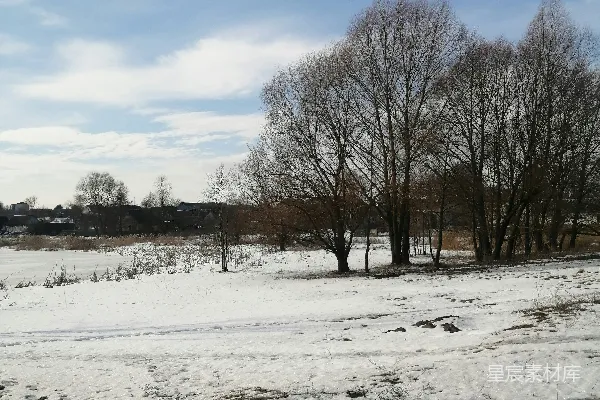 高清摄影 冬日雪景中的静谧林地