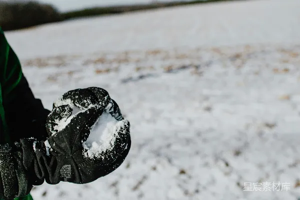 高清摄影 冬日雪球