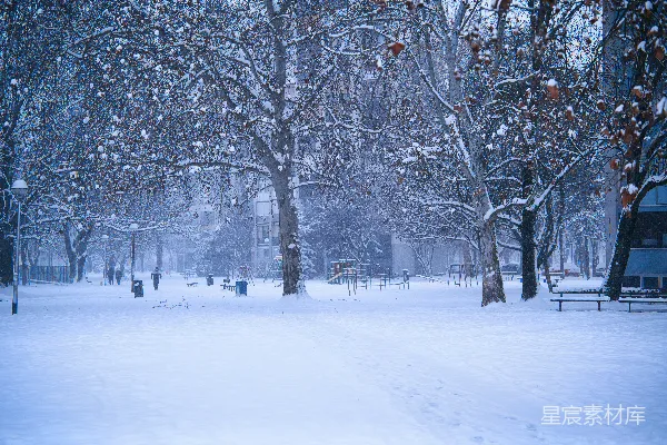 高清摄影 冬日雪景中的公园