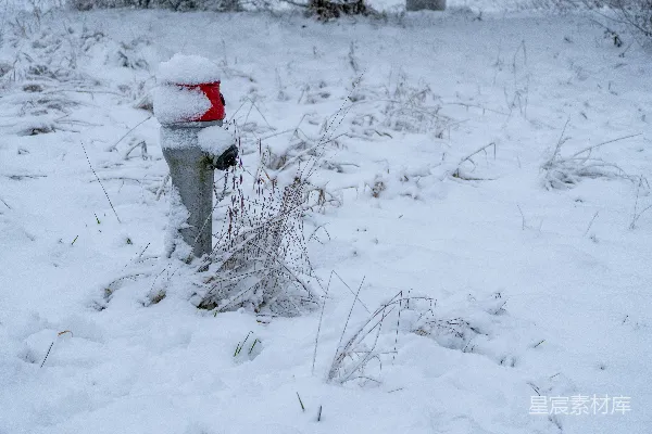 高清摄影 雪中红色消防栓