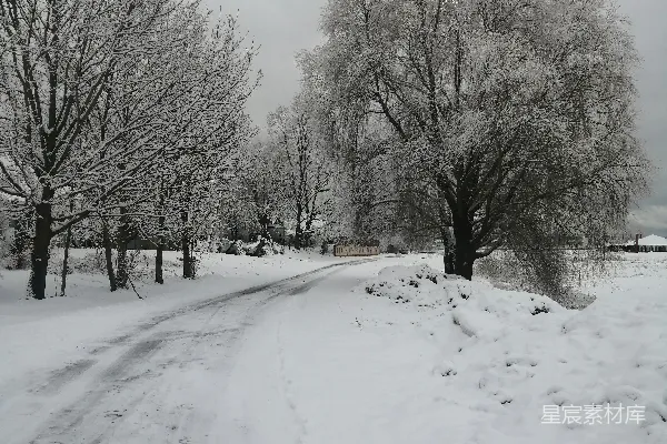 高清摄影 冬日雪景中的乡间小路