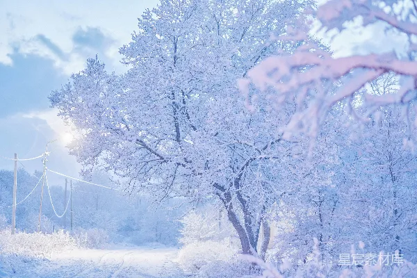 高清摄影 雪景中的冬日童话