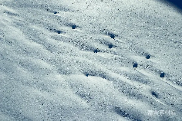 高清摄影 雪地上的足迹