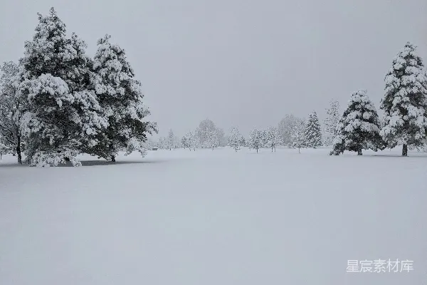 高清摄影 雪后的宁静森林