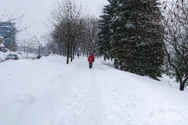 高清摄影 雪中的漫步