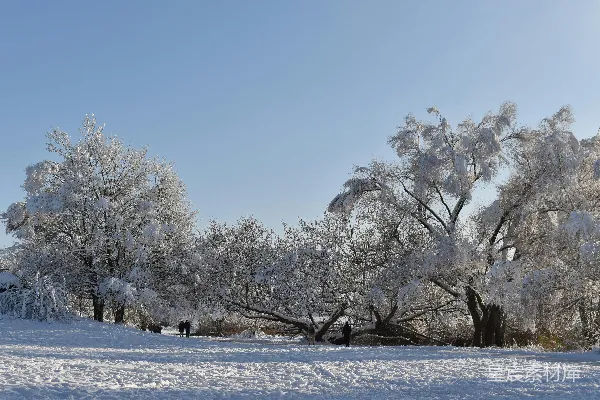 高清摄影 冬日雪景中的漫步者
