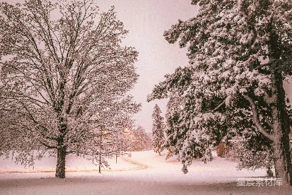 高清摄影 冬日雪景